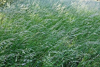 《破晓传说》全球销量突破270万 为系列前所未有